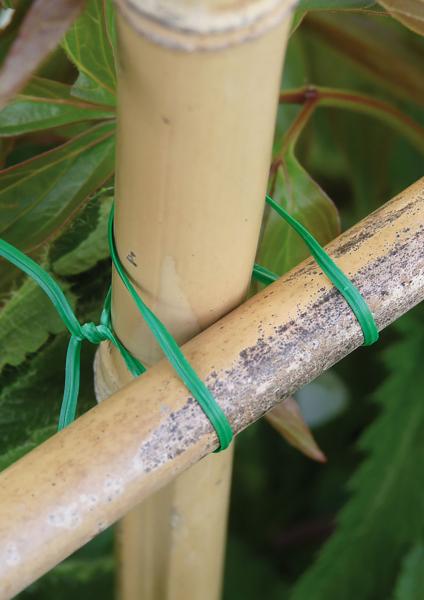 Matériel de jardinage - Fil de Fer Plastifié avec Découpe - 20 m - face recto